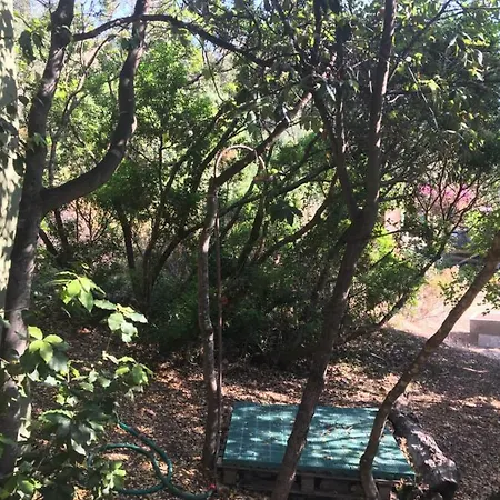 La Casetta Nel Bosco Villa *