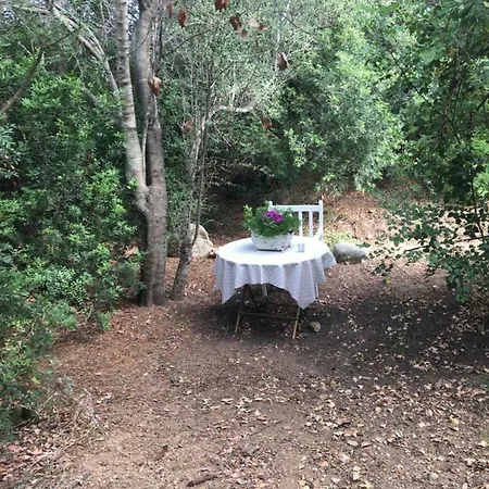 La Casetta Nel Bosco